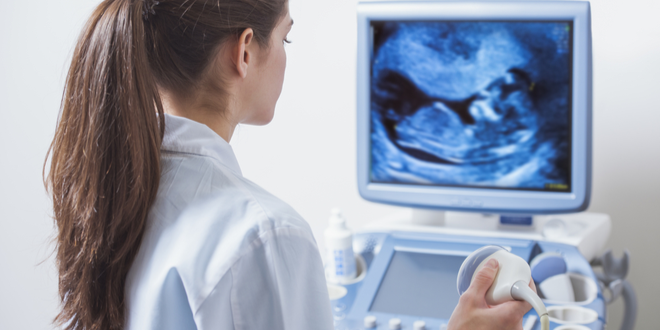 The left thinks that ‘men can get pregnant’ and it was prophesied by Jeremiah